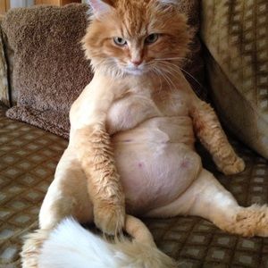 Meet your Posher, Sophia@